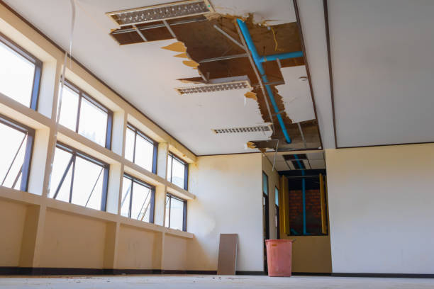 Best Professional water damage repair  in Lightstreet, PA