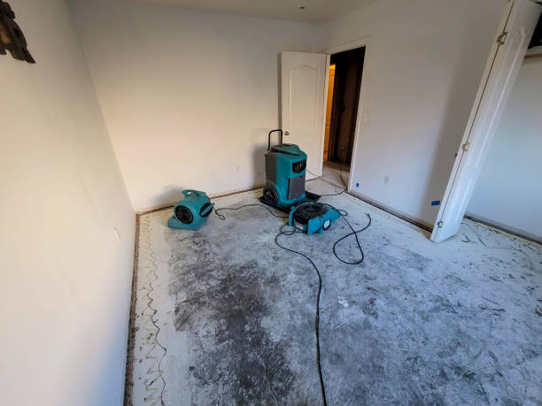 Best Carpet water damage restoration  in Lightstreet, PA
