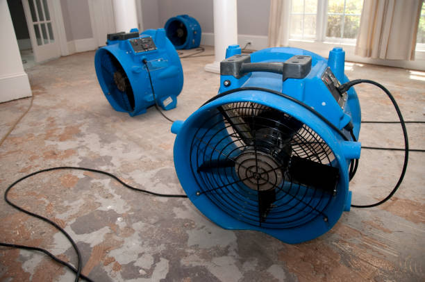 Trusted Lightstreet, PA Water damage restoration Experts