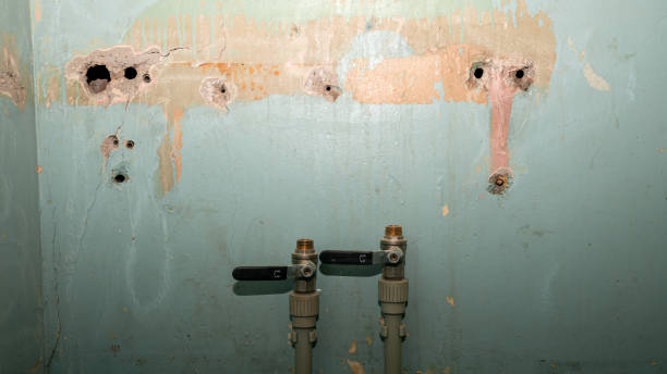 Best Water damage restoration specialists  in Lightstreet, PA