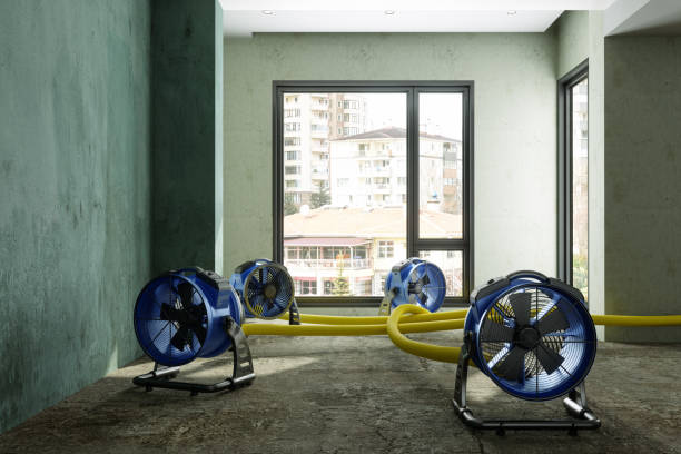 Best Mold removal after water damage  in Lightstreet, PA
